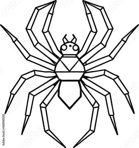 Geometric line art spider illustration on white background
