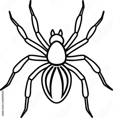 Line drawing of a spider with eight legs and a segmented body