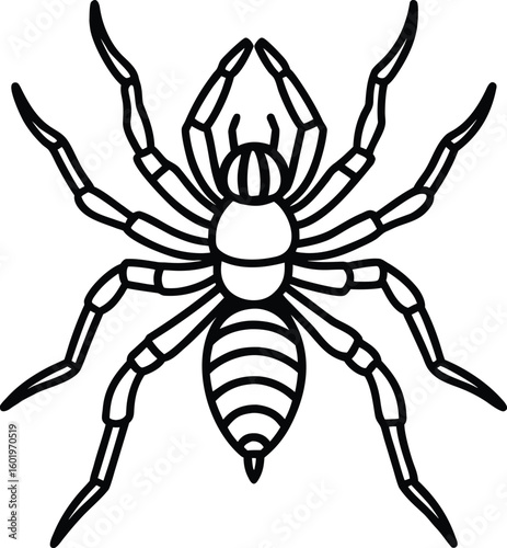 Stylized black and white line drawing of a spider