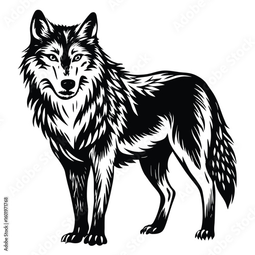 wolf animal vector illustration
