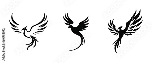 Three black phoenix bird silhouettes in elegant flight rebirth strength and transformation vector illustration