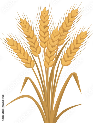 Illustration of a bundle of golden wheat stalks with grains isolated on a white background