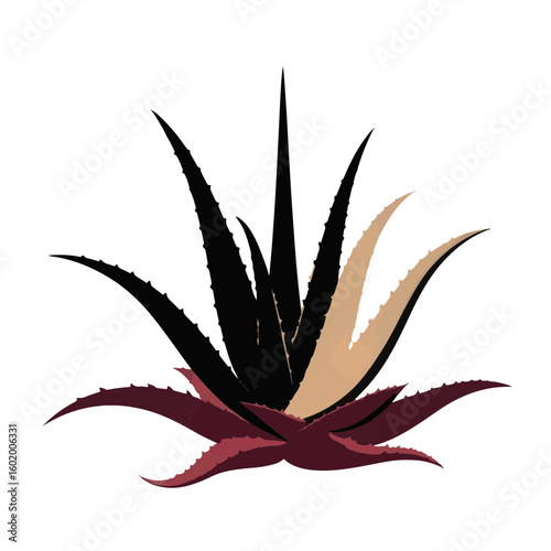 Aloe vera silhouette in black and burgundy on white background, nature wellness