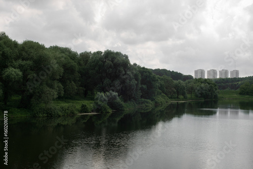 pond in the park