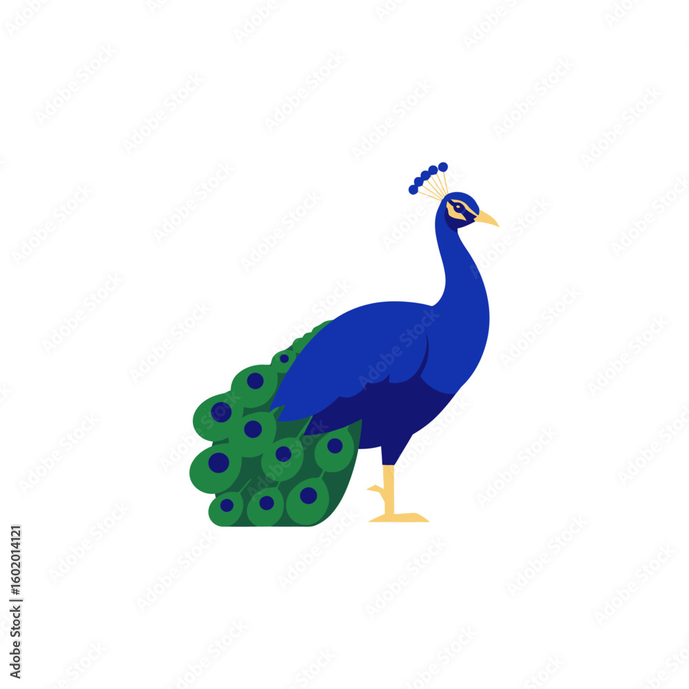 Fototapeta premium Striking Blue Peacock Illustration with Vibrant Feather Tail