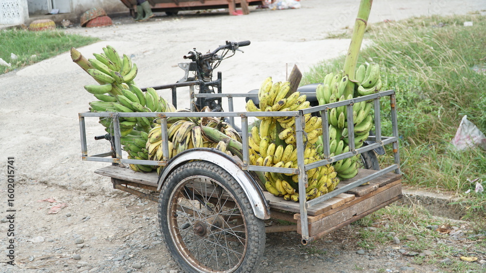 Fototapeta premium banana sellers at the traditional market in the morning