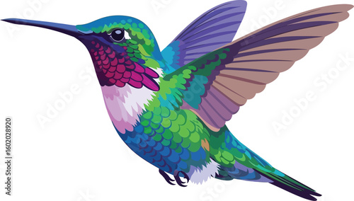 A colorful hummingbird with wings spread out is flying against a plain white background image art