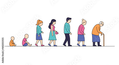 Human life cycle progression from infancy to old age