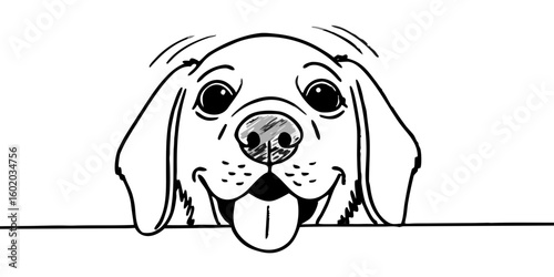 beagle dog, Beagle line drawing, vector art, illustrations