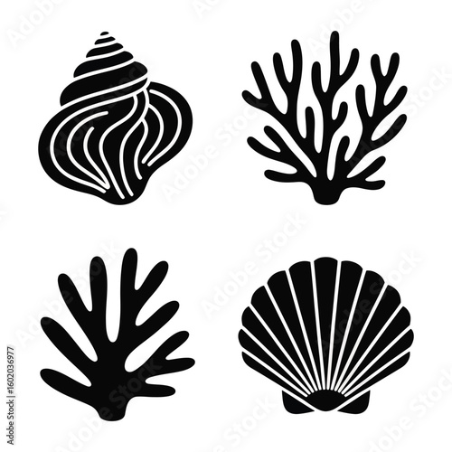 Black silhouette illustrations of seashell and coral on white background conch scallop