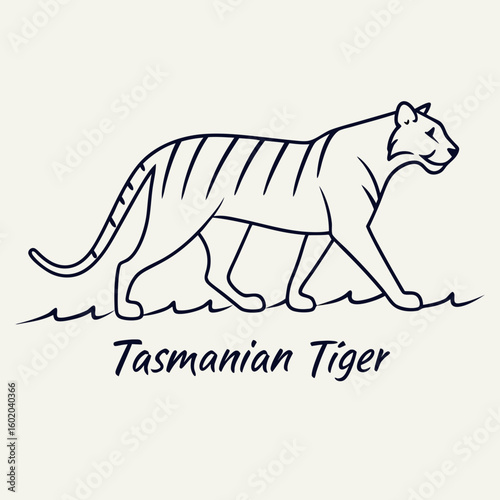 Simple line art illustration of a Tasmanian tiger walking with stripes and text thylacine marsupial