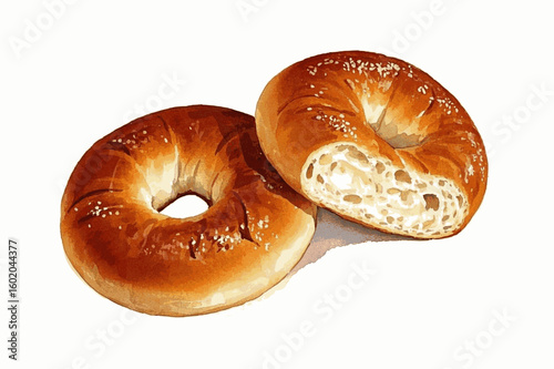 Chewy Ring & Wash bread Bagel isolated watercolor vector illustration svg

