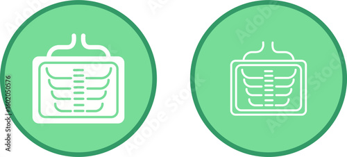 X Ray Vector Icon