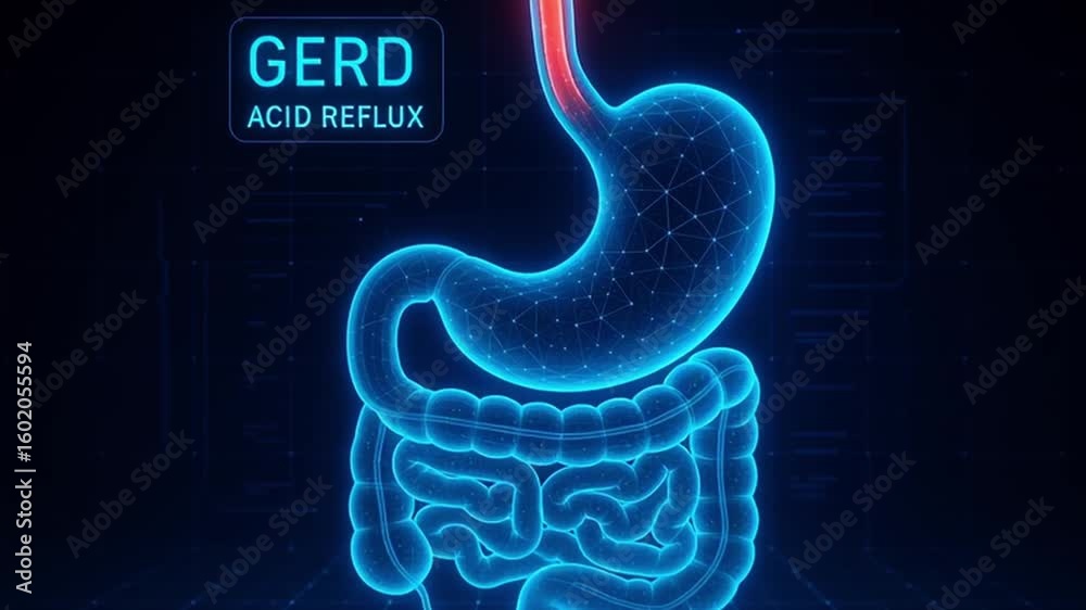 Gastroesophageal reflux disease hologram showing acid reflux stomach with medical healthcare concept highlighting digestive system inflammation and anatomy glowing blue and red digital visualization