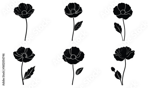 Set of Poppy Flower Silhouettes Elegant Black Floral Vector Illustration Design for Botanical and Nature 