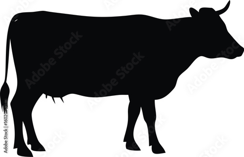 A cow silhouette in vector form