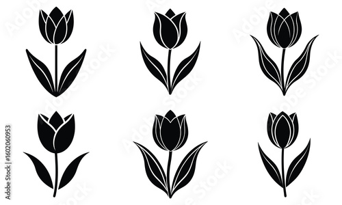 tulip shaped bloom silhouette vector illustration on white background