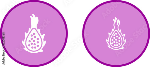 Dragon Fruit Vector Icon