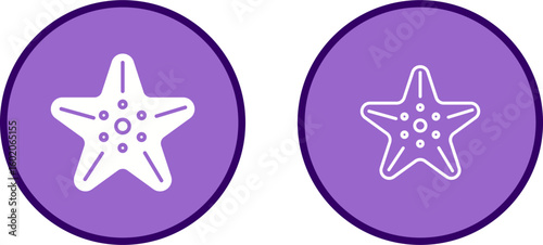 Starfish Vector Icon