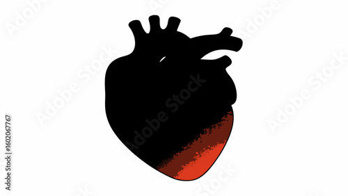 Anatomical heart illustration with black silhouette and red gradient at the bottom of the heart shape