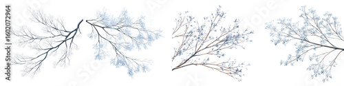 Wallpaper Mural Watercolor Winter Branches Collection. Frosty Tree Branch Isolated on White. Torontodigital.ca