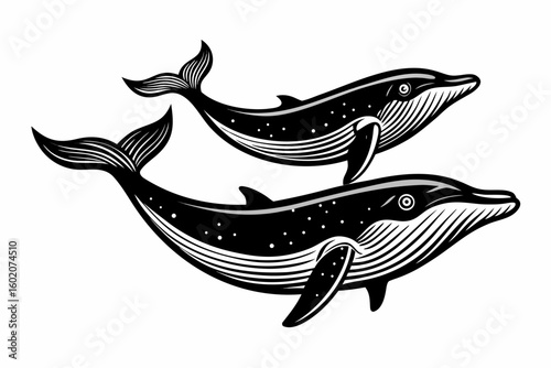 Two stylized black whales swimming together in a graphic illustration style