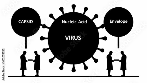 Illustration showing the structure of a virus with capsid envelope and nucleic acid and two people below 100 char