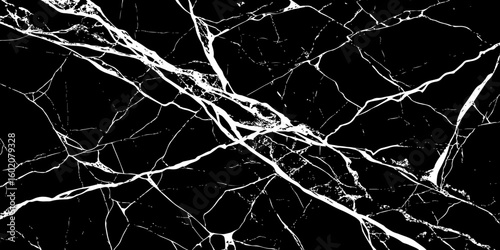 A striking, high-contrast image featuring bold white cracks and veins against a deep, dark, almost obsidian-like background, reminiscent of natural black marble or a shattered surface.