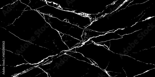 A high-contrast, black and white image showcasing intricate, shattered white lines resembling cracked ice or veins against a deep, solid black background. The lines crisscross and branch out, 