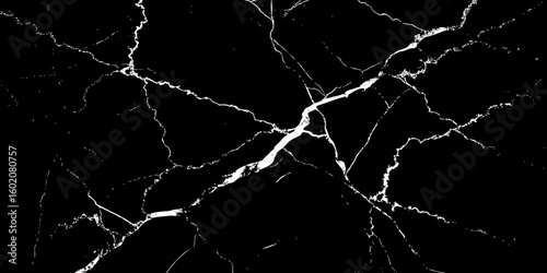 A high-contrast, black and white image showcasing intricate, shattered white lines resembling cracked ice or veins against a deep, solid black background. The lines crisscross and branch out, 