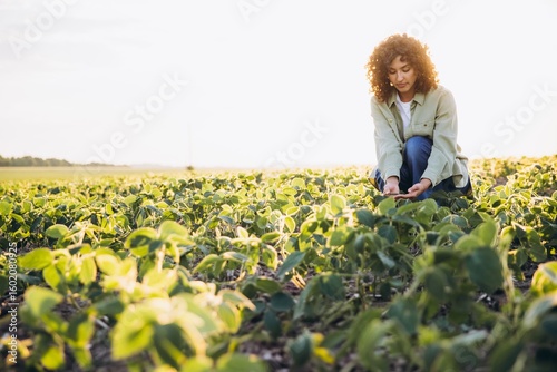Photos Young agronomist woman inspecting soybean plants in cultivated field