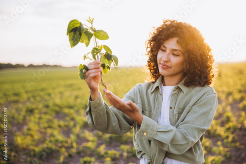 Canvastavla Young agronomist woman holding and examining soybean plant in cultivated field a