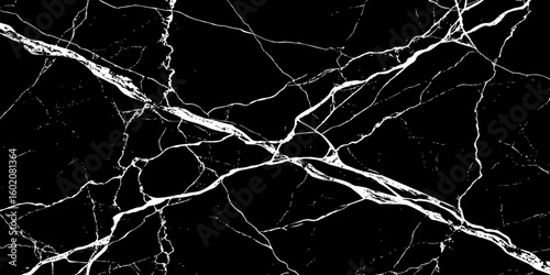 A high-contrast, black and white image showcasing intricate, shattered white lines resembling cracked ice or veins against a deep, solid black background. The lines crisscross and branch out, 