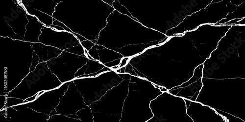 A high-contrast, black and white image showcasing intricate, shattered white lines resembling cracked ice or veins against a deep, solid black background. The lines crisscross and branch out, 