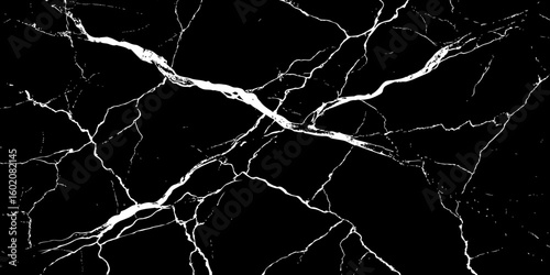 A high-contrast, black and white image showcasing intricate, shattered white lines resembling cracked ice or veins against a deep, solid black background. The lines crisscross and branch out, 
