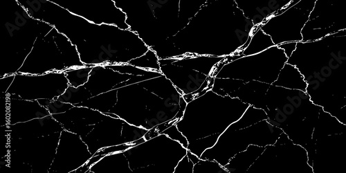 A high-contrast, black and white image showcasing intricate, shattered white lines resembling cracked ice or veins against a deep, solid black background. The lines crisscross and branch out, 