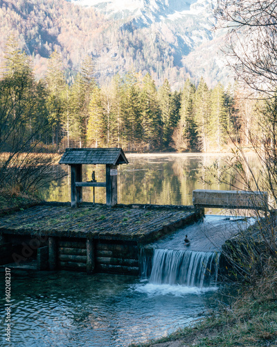 Autumn tranquility at Schiederweiher in Upper Austria with a ser