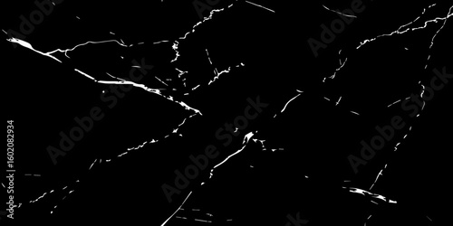 A high-contrast, black and white image showcasing intricate, shattered white lines resembling cracked ice or veins against a deep, solid black background. The lines crisscross and branch out, 