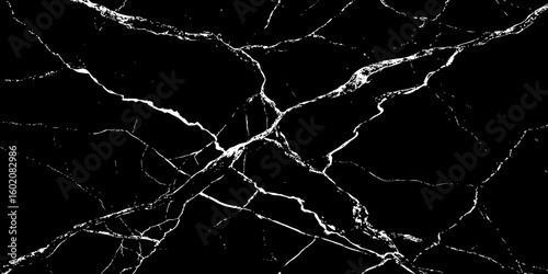 A high-contrast, black and white image showcasing intricate, shattered white lines resembling cracked ice or veins against a deep, solid black background. The lines crisscross and branch out, 