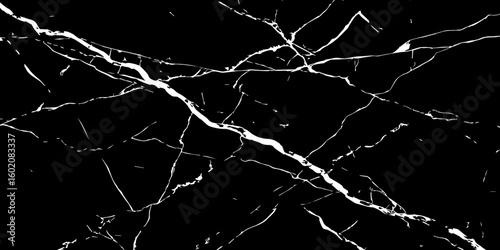 A high-contrast, black and white image showcasing intricate, shattered white lines resembling cracked ice or veins against a deep, solid black background. The lines crisscross and branch out, 