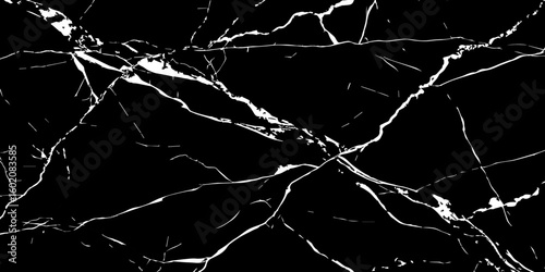 A high-contrast, black and white image showcasing intricate, shattered white lines resembling cracked ice or veins against a deep, solid black background. The lines crisscross and branch out, 