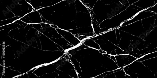 A high-contrast, black and white image showcasing intricate, shattered white lines resembling cracked ice or veins against a deep, solid black background. The lines crisscross and branch out, 