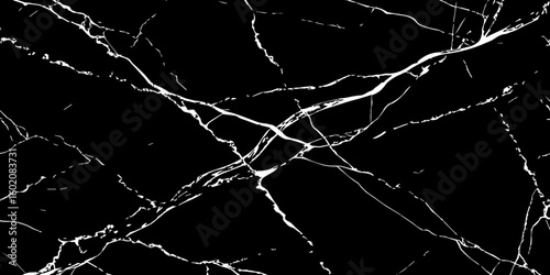 A high-contrast, black and white image showcasing intricate, shattered white lines resembling cracked ice or veins against a deep, solid black background. The lines crisscross and branch out, 