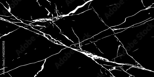 A high-contrast, black and white image showcasing intricate, shattered white lines resembling cracked ice or veins against a deep, solid black background. The lines crisscross and branch out, 