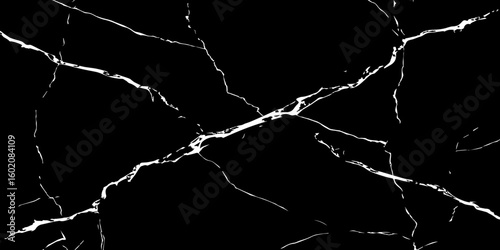 A high-contrast, black and white image showcasing intricate, shattered white lines resembling cracked ice or veins against a deep, solid black background. The lines crisscross and branch out, 