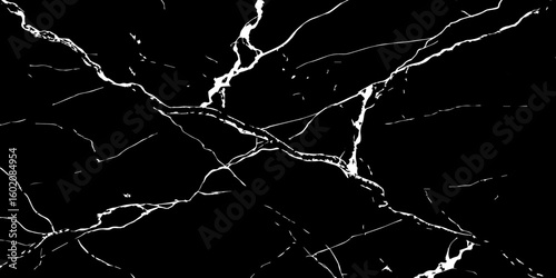 A high-contrast, black and white image showcasing intricate, shattered white lines resembling cracked ice or veins against a deep, solid black background. The lines crisscross and branch out, 