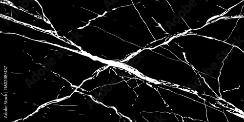 A high-contrast, black and white image showcasing intricate, shattered white lines resembling cracked ice or veins against a deep, solid black background. The lines crisscross and branch out, 