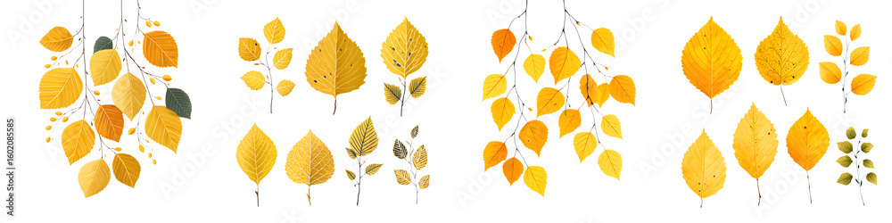 Obraz premium Autumn Leaves Collection: Watercolor Illustration on White Background