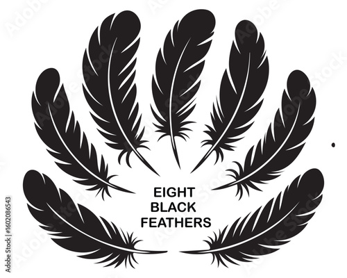Black feathers silhouette icon set vector art illustration