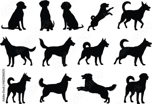 Collection of dog silhouettes in various poses and breeds
